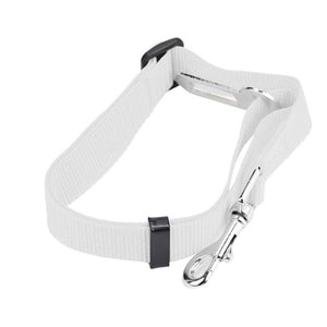 Pet Car Seat Belt