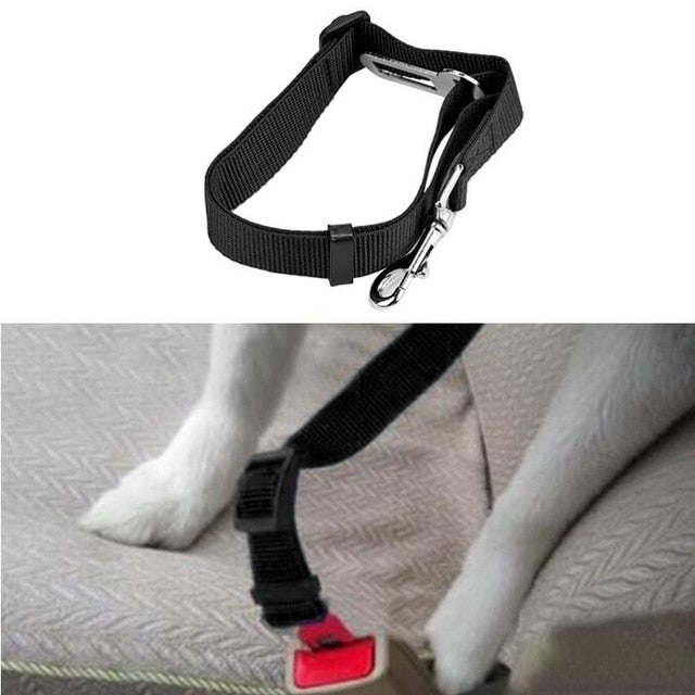 Pet Car Seat Belt