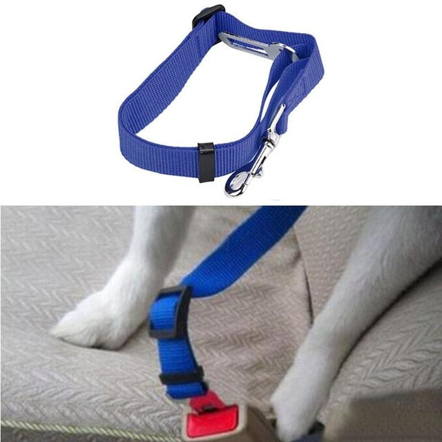 Pet Car Seat Belt