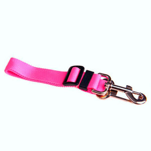 Pet Car Seat Belt